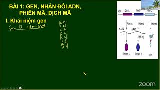 Bài 1: Lấy gốc Di truyền phân tử (P1)