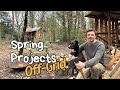 Cozy workdays at the cabin  alone in the forest with my dog  offgridliving