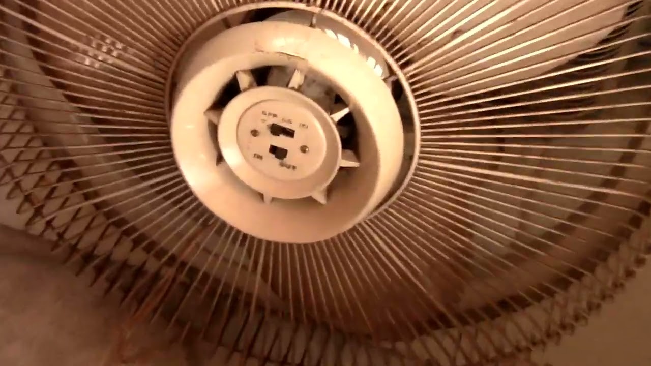 Nice Early Spring Weather Vlog February 2026