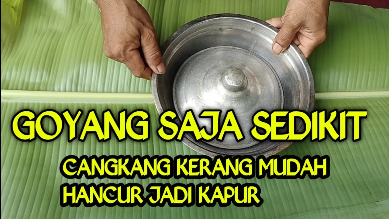 Cara membuat kapur sirih dari cangkang kerang