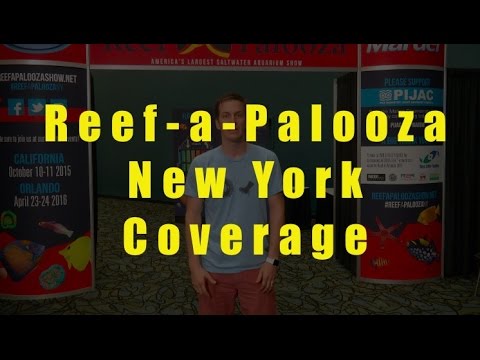 saltwater sushi & burger Mr. Saltwater Tank's Coverage of Reef-a-Palooza New York