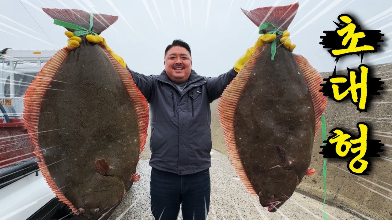 여수 바다 미쳤다!! 초대형 광어를 직접 먹어보자!