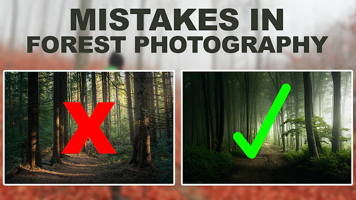 Stop Making These 5 Forest Photography Mistakes!