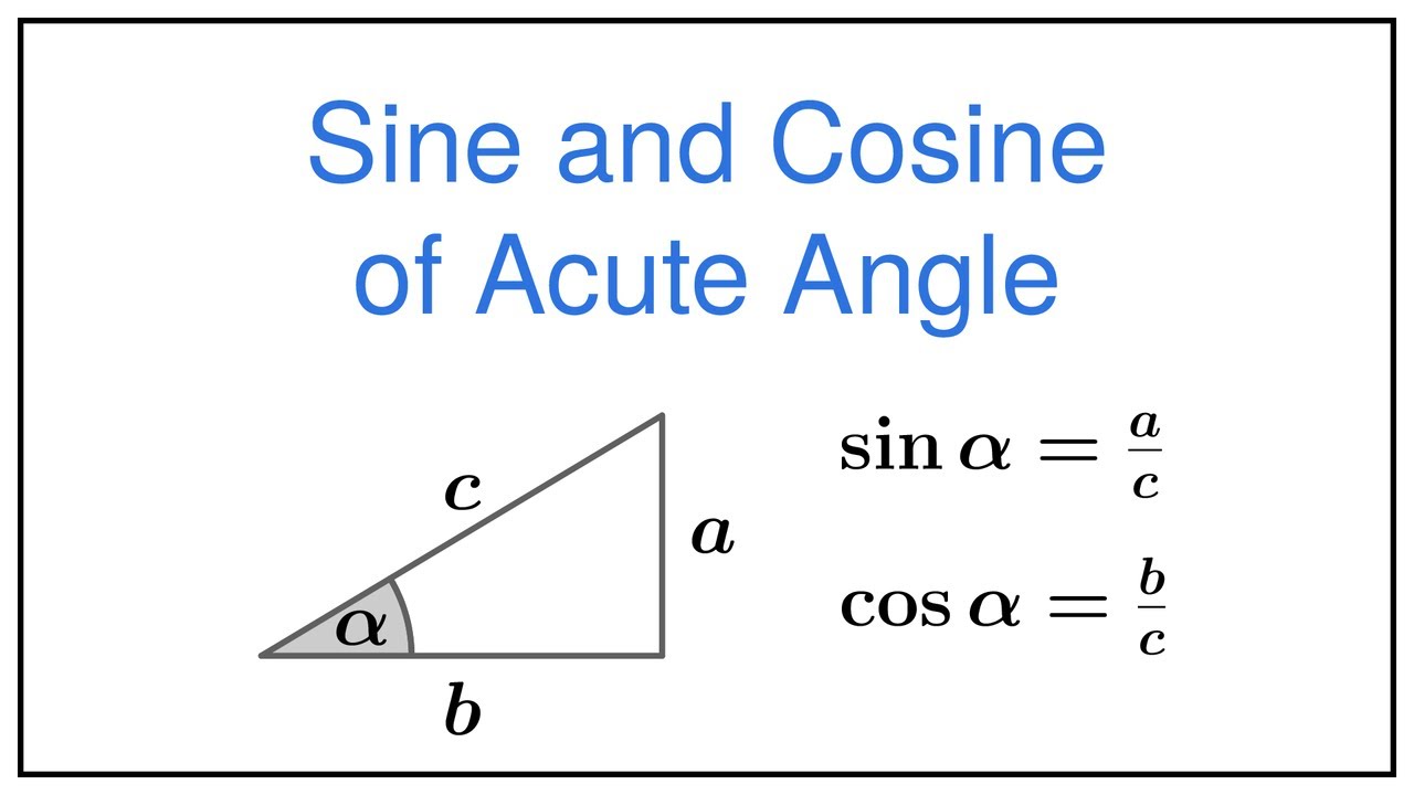 Sine and Cosine of an Acute Angle 