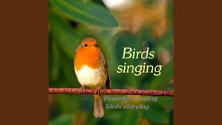 Happy Birds screenshot 2