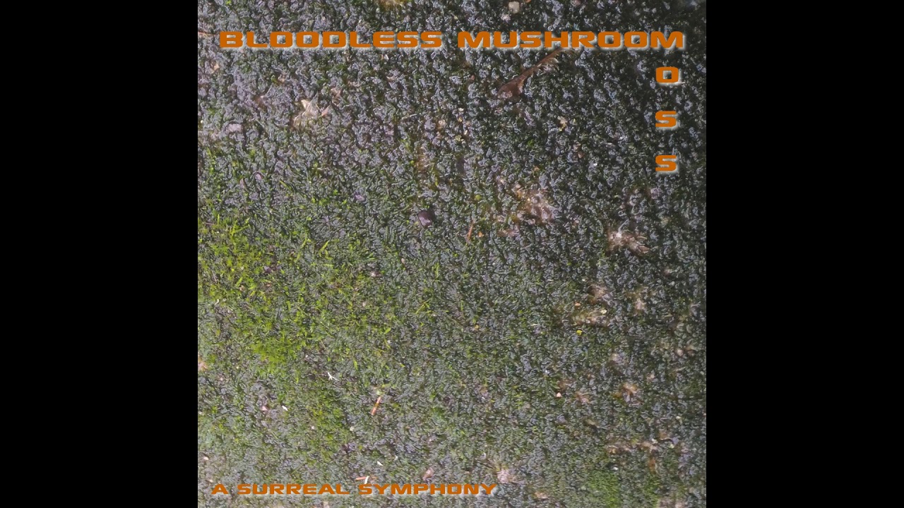 Watch Bloodless Mushroom - Moss - 04 - Stalactites on YouTube Watch Bloodless Mushroom - Moss - 04 - Stalactites on YouTube