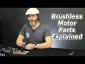 What's In There! Understanding Brushless Motor Parts | Holmes Hobbies RC Basics Series