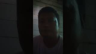 Download Lagu assalamualaikum wr WB lagu siapa yang punya MP3