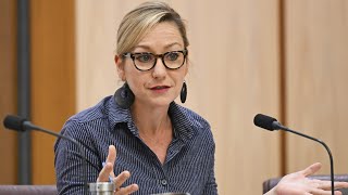 The Beginning Of The End Greens Leader Blames Victims For Synagogue Attack