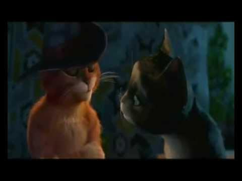 Uysiz ayolning telefonida suratga olingan