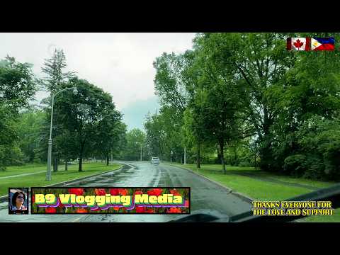 A DAILY DOSE OF ROAD VLOG - DAY 3