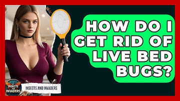 How Do I Get Rid Of Live Bed Bugs? - Insects and Invaders