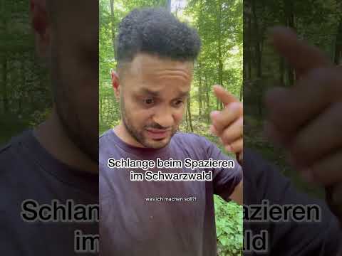 Schlange im Schwarzwald