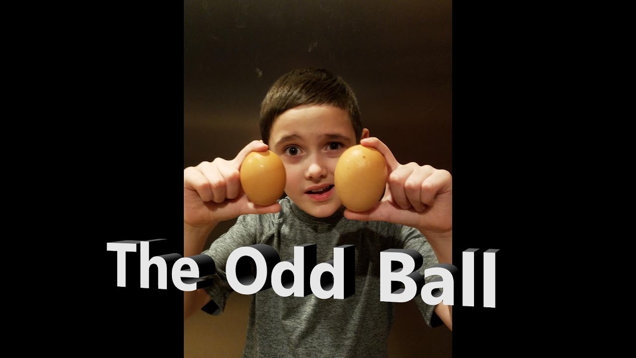The Odd Egg YouTube