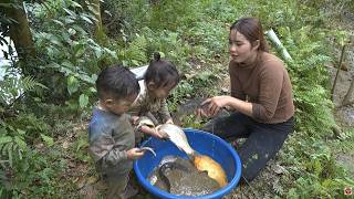 Amazing jungle pond fishing: Hand-catching giant catfish & carp to sell at the market with family