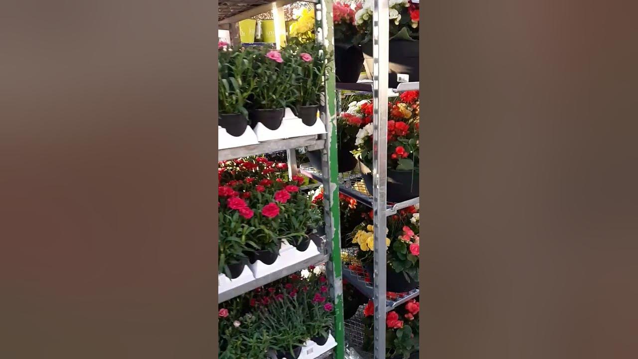 costco garden centre YouTube