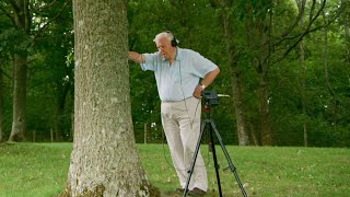 Whats In The Trunk? With Sir David Attenborough The Green Planet Bbc Earth