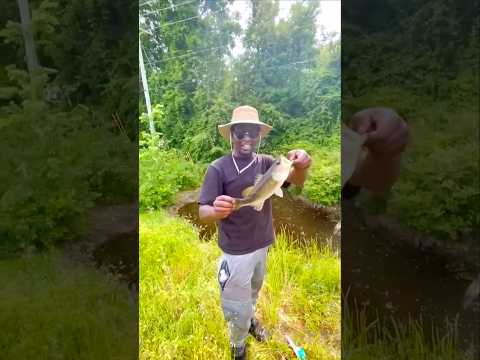 A LIL FISHING WITH THE FAM Springbreak2025 Funny Comedy Humor Fishing Shorts Reels Fy Yt 