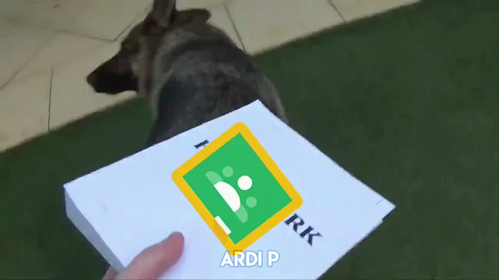 [PTI] GERALDO MORRIS RAU