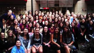 Phi Sig Temple Recruitment 2014