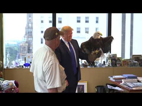 Watch Donald Trump Dodge a Bald Eagle  Person Of The Year 2015  TIME