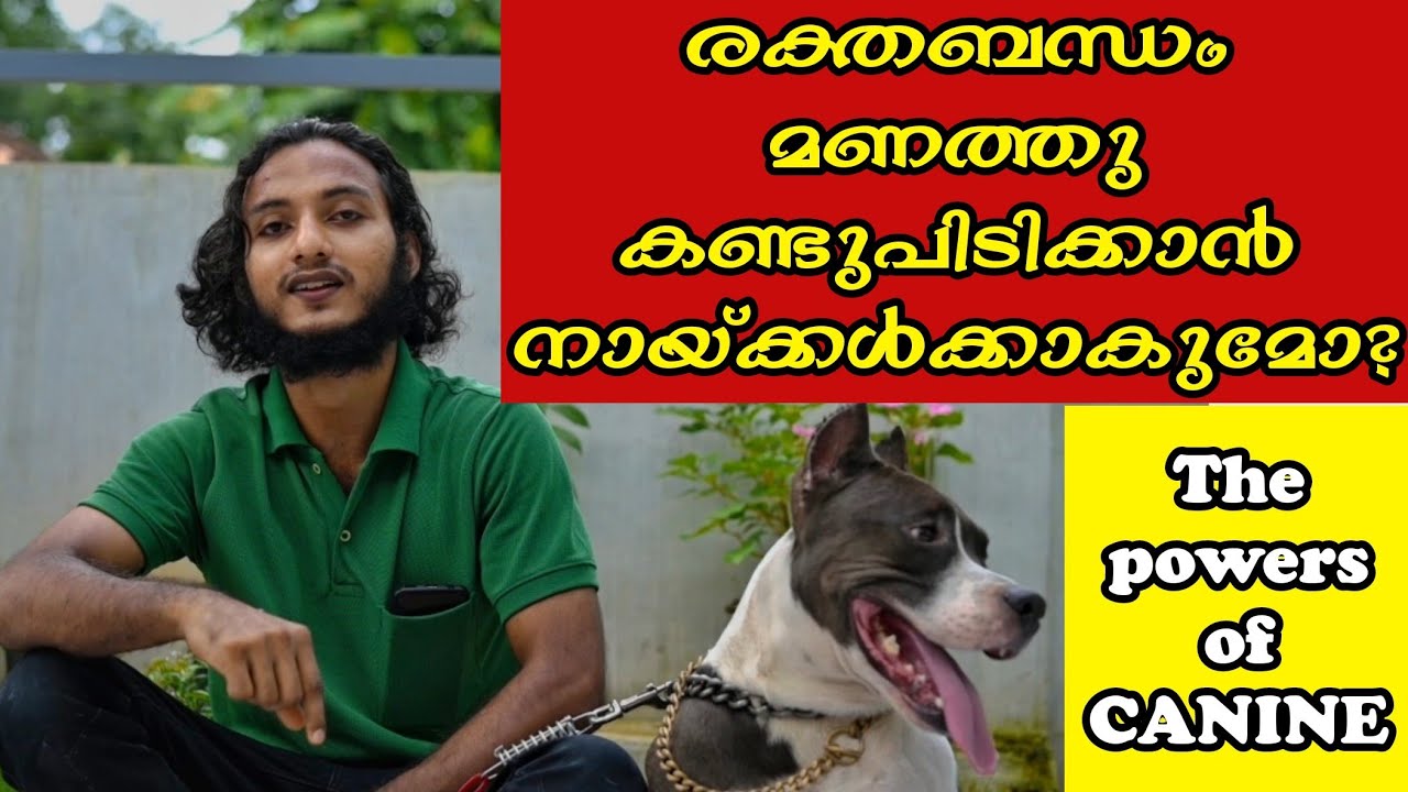 Blood relations മണത്ത് കണ്ടുപിടിക്കാൻ നായ്ക്കൾക്ക് കഴിയുമോ? Can a Dog