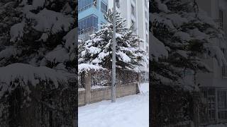 2026 Yili En Güzel Yillariniz Olmaniz Di̇leği̇yle