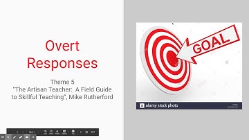 Theme 5:  Overt Responses