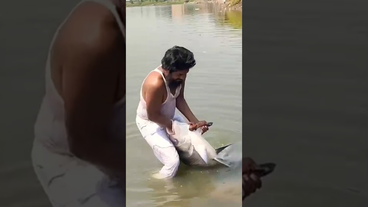 35 kg Big Katla Fish wow 😳😳😳 