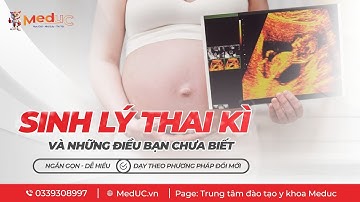 [Sinh Lý Thai Kỳ] | #1 Những Biến Đổi Nội Tiết Ở Người Có Thai (P1) | Trung Tâm Đào Tạo Y Khoa MedUC
