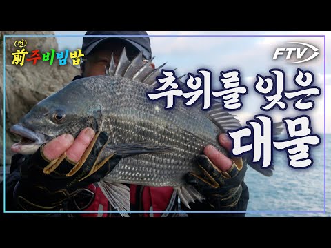 강추위에도 나올 물고기는 나온다 [前주비빔밥/VOD BEST5 1월 2주차]