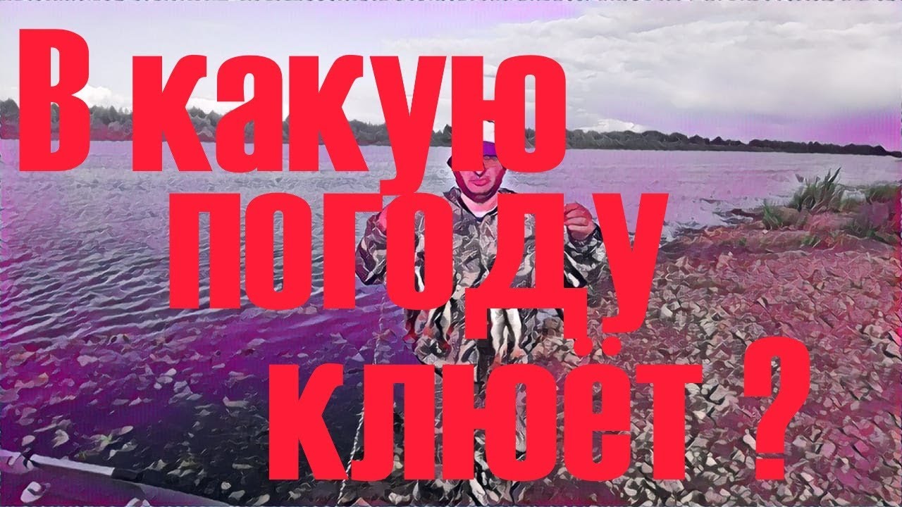 Ока кузьмищево рыбалка