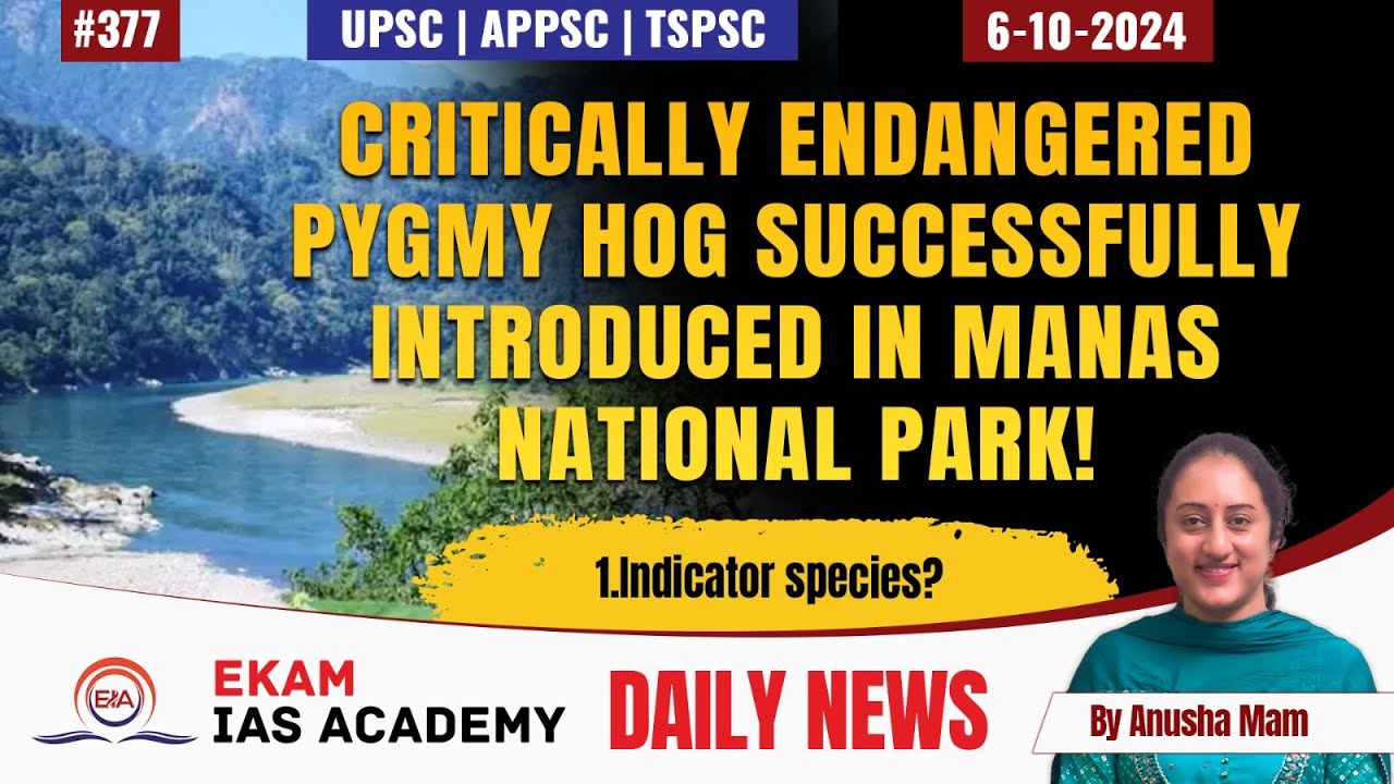 Critically endangered Pygmy hog successfully introduced in Manas National Park!