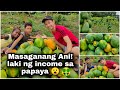 Masaganang Ani! Sa mga Papaya🍑