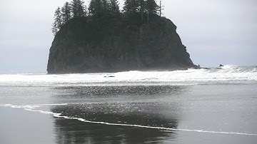 Polytonal Chill - Generative music from Arturia Minibrute 2S and Behringer Neutron