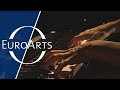 Miniature de la vidéo de la chanson The Well-Tempered Clavier, Book Ii: Prelude No. 20 In A Minor, Bwv 889