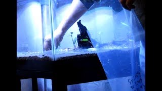 Adding Gravel and Eco-Complete to Freshwater Aquarium
