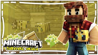 BAL FARMI NASIL YAPILIR ??? ARI YUVASI NASIL BULUNUR ??? | Minecraft Survival Okulu 1.15 B#18