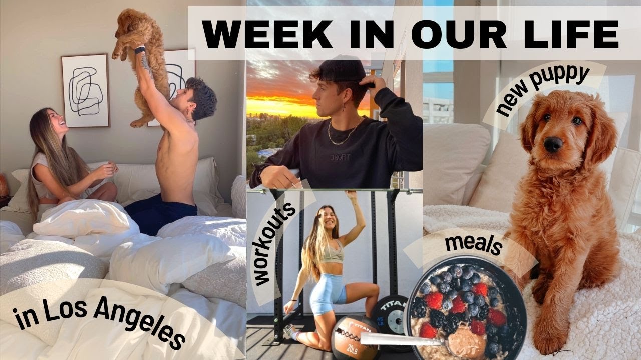 Couple's Week Routine w/ NEW PUPPY in LA!!!