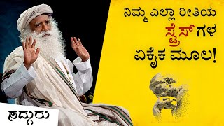 ಜೀವನದಲ್ಲಿನ ಸ್ಟ್ರೆಸ್ ನ ನಿಜವಾದ ಮೂಲ ಏನು? | ಸದ್ಗುರು