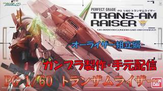 ガンプラ製作・雑談】パーツ総数約1100の大型キットに立ち向かう男【PG
