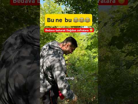 Bedava baharat dağdan sofralara 😇 İşbirliği reklam #reklam @proteinocean #işbirliği