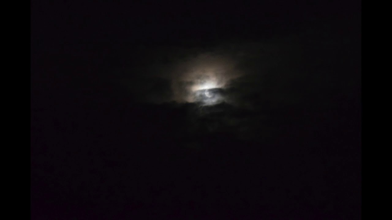 Angut qimmipalaajusoq