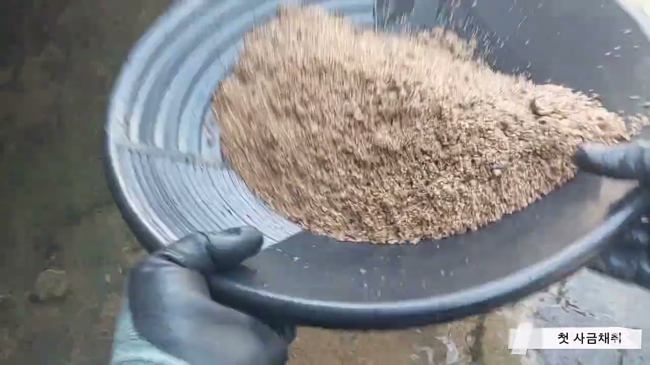 난생 처음... 사금 채취!