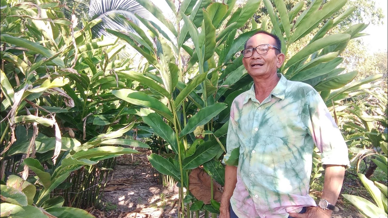 สวต#ช่าเกษตรแพงใหญี วารินชำราบติดต่อ063-0244-651