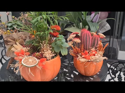 Video: Hellebore Refakatçi Bitkileri: Hellebores ile Refakatçi Dikim Üzerine İpuçları