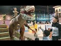 катание на динозавре динозавр украл маленькую девочку парк аттракционов детское развлечение