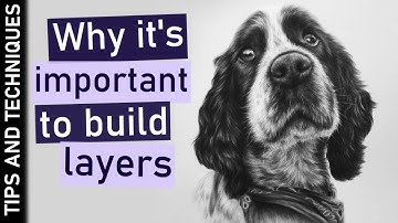 Cocker Spaniel graphite drawing | Dog portrait