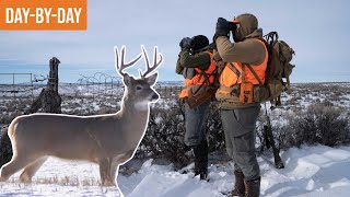 Hunting Rutting Deer in Gale Force Winds | MT Deer Hunt (ep.2)