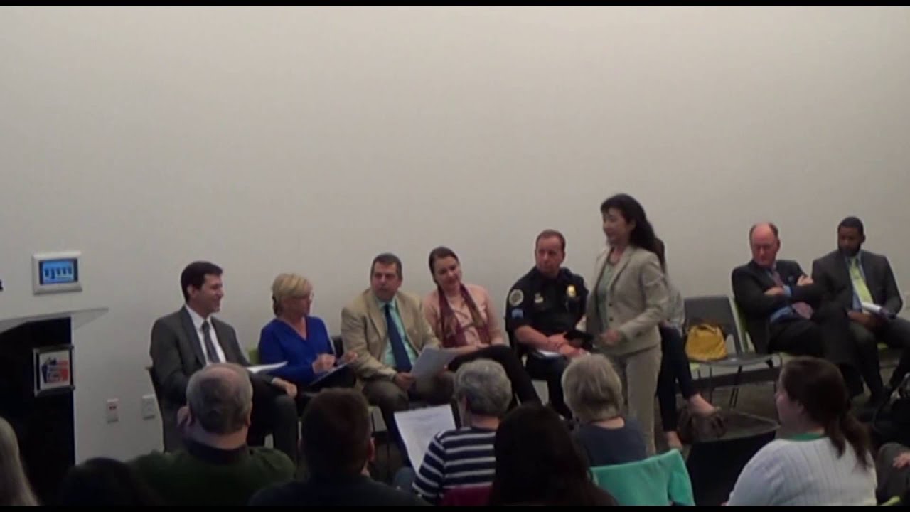 Bellevue Community Update Meeting - Council Updates